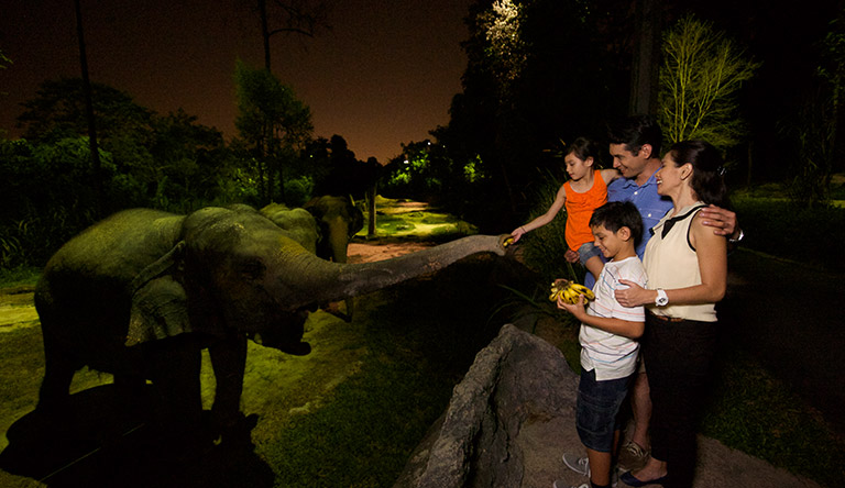 night-safari-tour-singapore